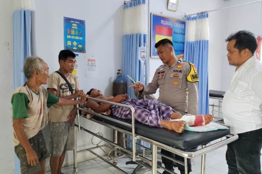 Diserang Tiga Harimau di Hutan Inhu, Petani Damar Selamat Setelah Tinju Anak Harimau