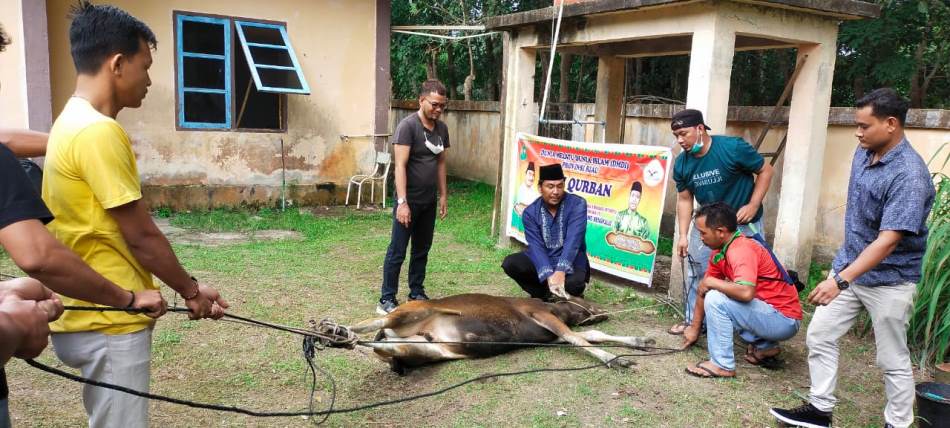 Daging Sapi Qurban Presiden DMDI Sudah Dibagikan kepada Mualaf Desa Jangkang