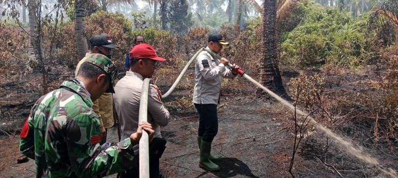 Satu Hektar Lahan Warga Pambang Baru Terbakar
