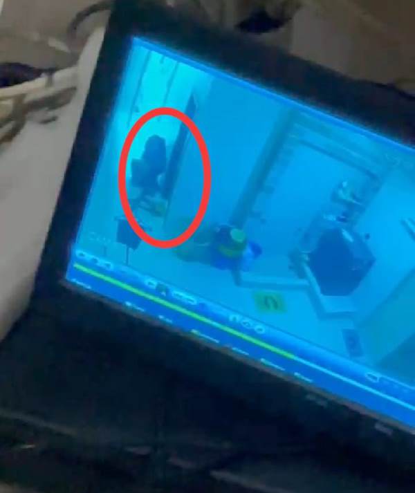 Diduga Jadi Korban Rampok, PRT di Rumah Pengusaha Mebel Jalan Rumbia Tewas Dibunuh