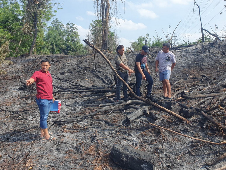 Bakar Lahan Milik PT PHR untuk Tanam Sayuran, Surya Ditangkap Polresta Pekanbaru