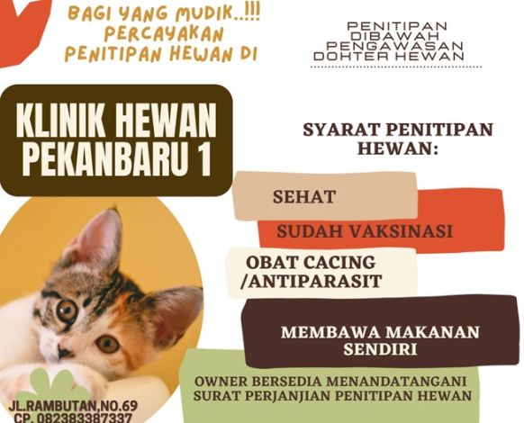 Klinik Hewan Pekanbaru Tawarkan Penitipan Hewan saat Lebaran, Ada yang Pakai AC