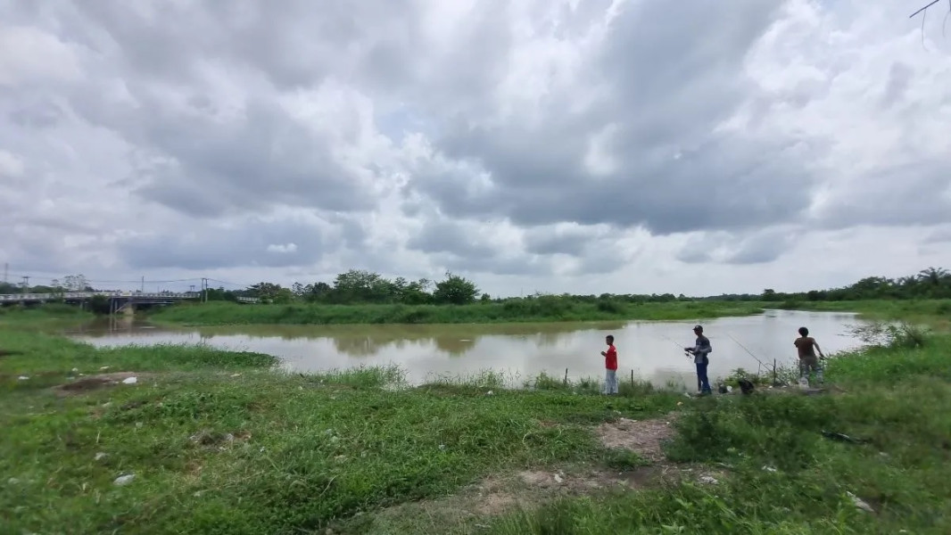 Debit Sungai Kampar di Pelalawan Naik Level Waspada