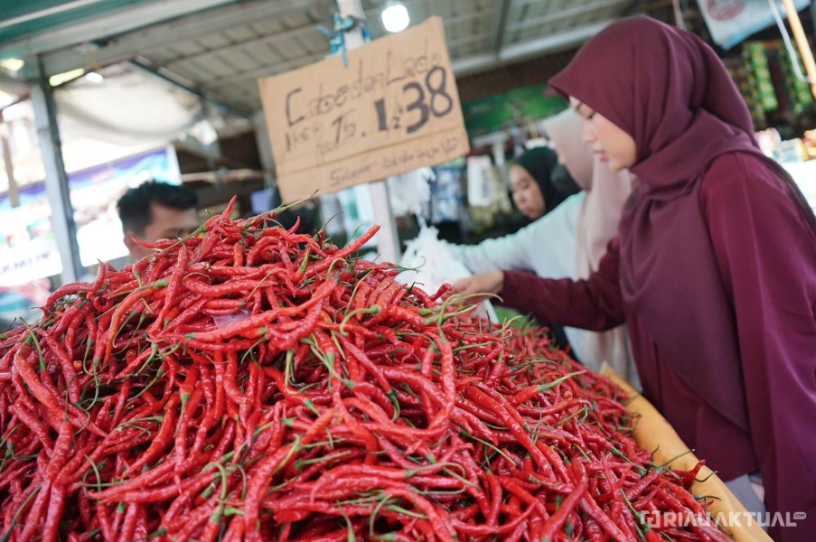 Harga Cabai Merah di Pekanbaru Meroket Hingga Rp80.000 per Kilogram