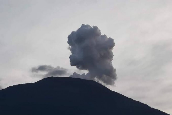 Sapi Kurban Kabur, Tim Damkar Turun Tangani Evakuasi Sapi