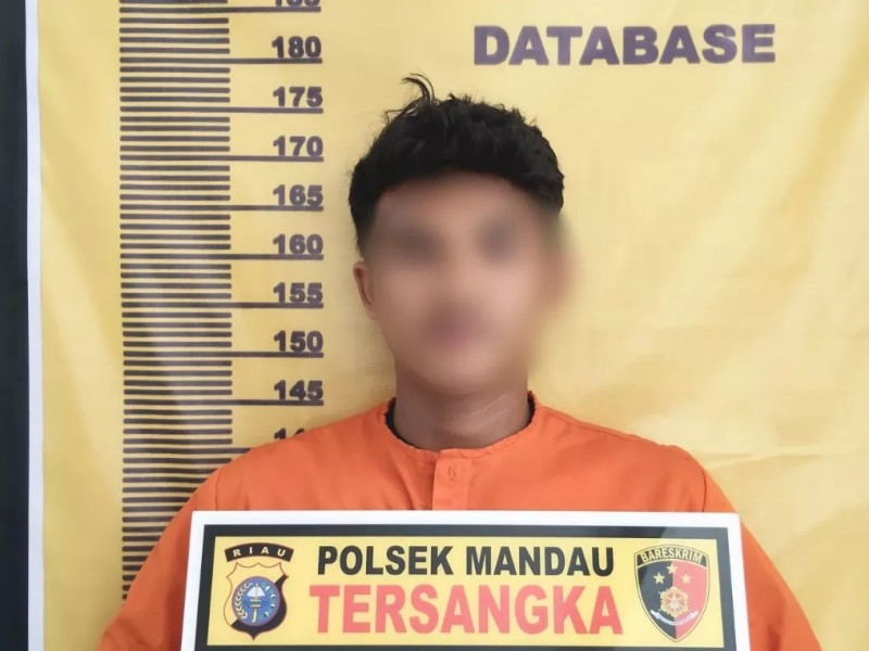 Karyawan Swasta di Mandau Diduga Cabuli Bocil di Hotel