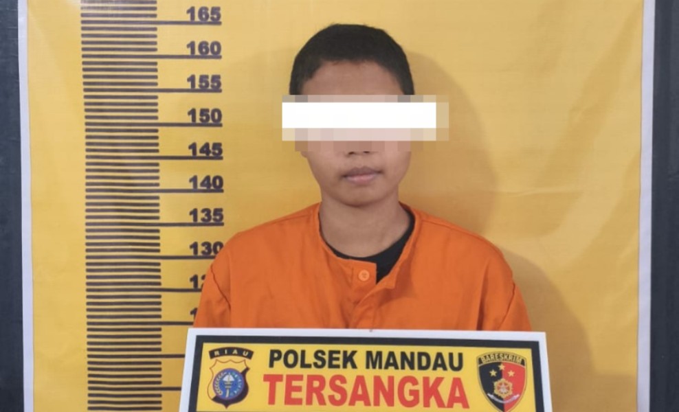 Gelapkan Sepeda Motor Kenalan, Wanita Cantik di Bengkalis Dipolisikan