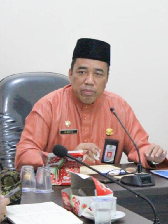 Plt. Kadis PMD Bengkalis H Ismail : Kelemahan-Kelemahan yang Terjadi Harus Dibenahi