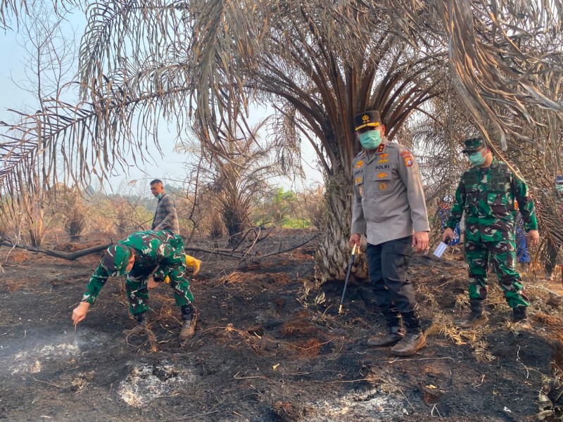Cek Karhutla Meluas, Kapolda Riau dan Pangdam Tuanku Tambusai Turun ke Siak