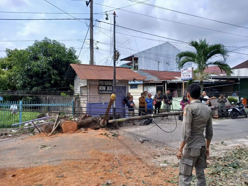 Ganggu Aktivitas Masyarakat, Pemko Pekanbaru Evakuasi 2 Tiang Kabel FO Tumbang