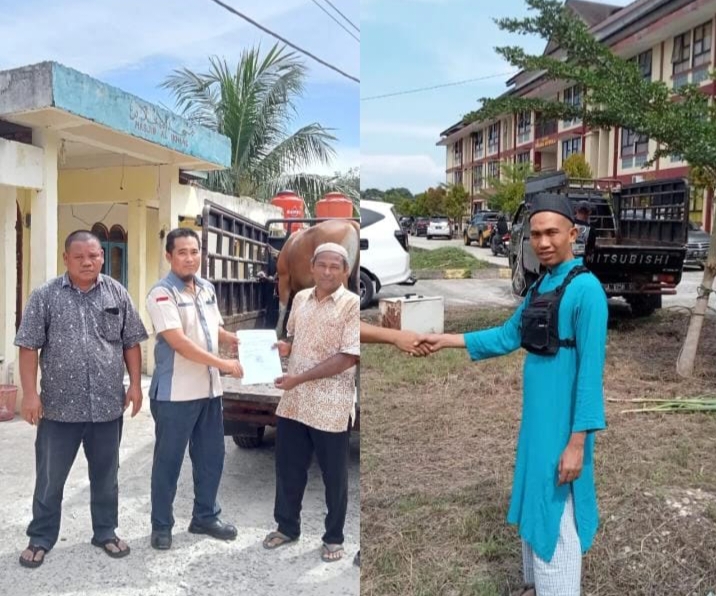 Dibalik Demo, Petani Sawit Teluk Aur Panen Melimpah Berkat Land Application PT KSM