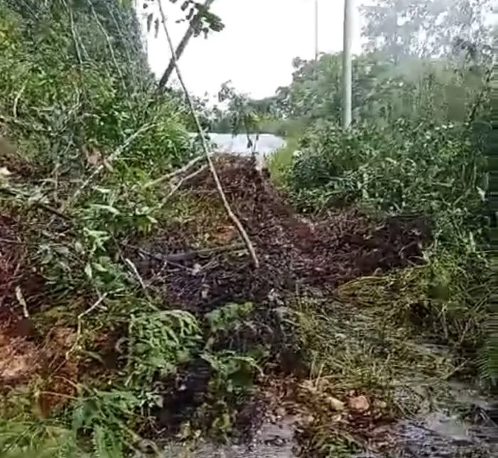 Longsor Lumpuhkan Akses Jalan di Kampar Kiri Hulu